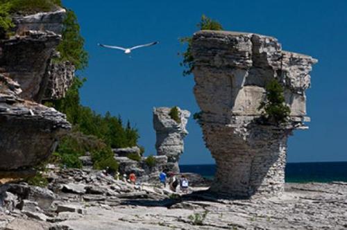 Flowerpot Island, photo from Bluewater Tourism